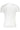 Calvin Klein White Cotton Men T-Shirt - Ethara Jay